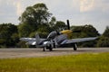 Mustang P-51D Royalty Free Stock Photo